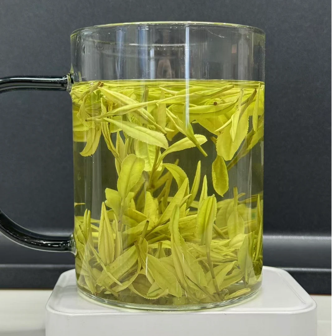 2024新茶白茶高山新鲜上市鲜好茶特级安吉白茶