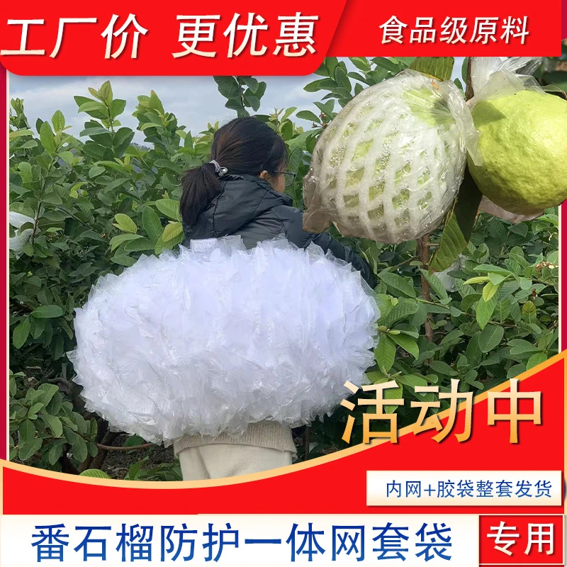 番石榴套袋网袋芭乐防虫网袋专用一体泡沫包装袋石榴袋水果网套