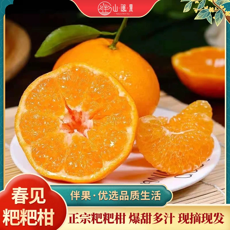 【8甜2酸】正宗四川春见粑粑柑好拨皮孕妇水果新鲜现摘先发甜蜜多汁