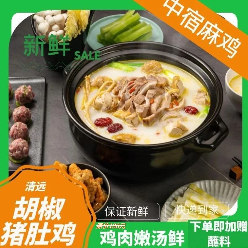 【特惠】广东正宗清远散养鸡胡椒猪肚鸡非老鸡半成品懒人菜500g
