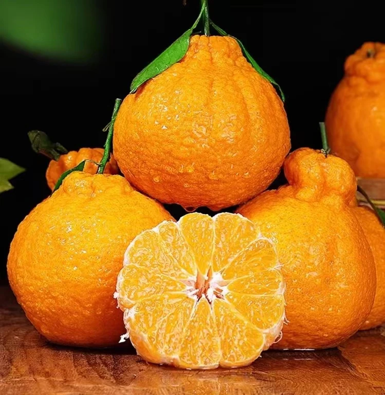 【小时达】特级丑橘一份2.5斤左右