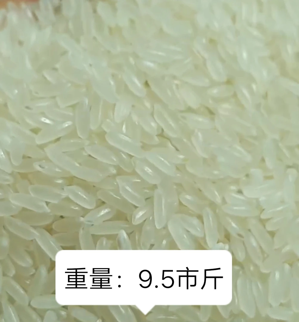 超细粒儿大米  油稻