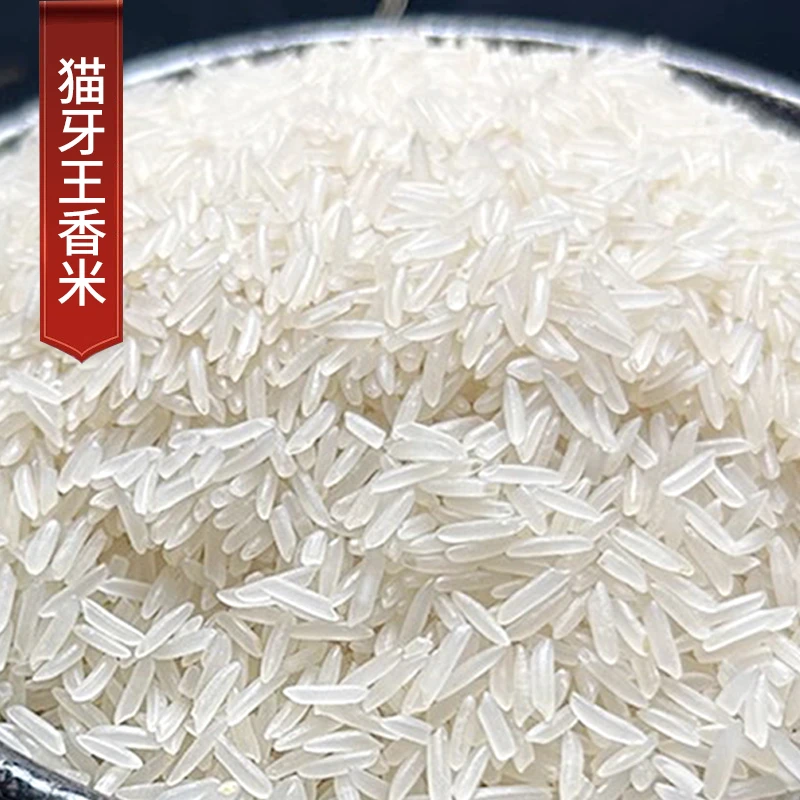 2024年晚稻猫牙王香米长粒香丝苗米茉莉香米买5斤发10斤产地批发