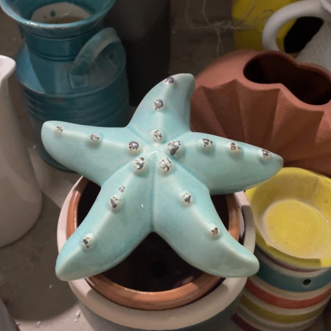 【闪购商品】陶瓷瓷片