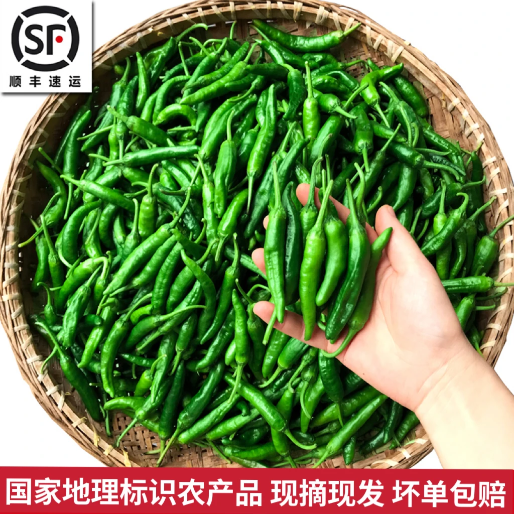 湖南特产小辣椒薄皮青椒正宗樟树港辣椒新鲜土椒嫩微辣1-5斤