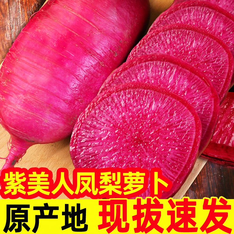 紫美人水果萝卜凤梨萝卜甜脆水果型潍坊红心潍坊青萝卜冰淇淋