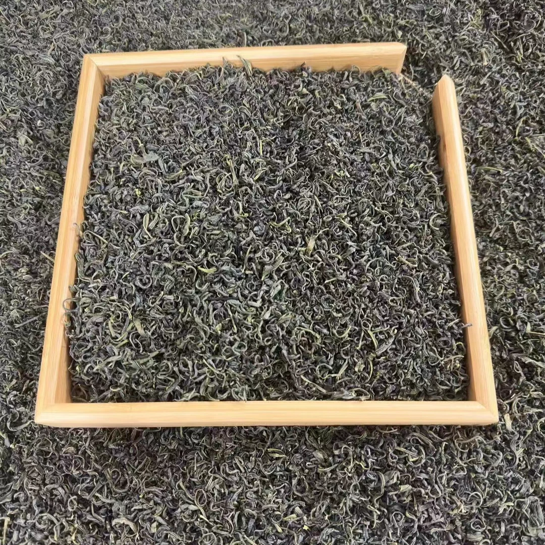 2024新茶叶明前高山云雾绿茶浓香型板栗香