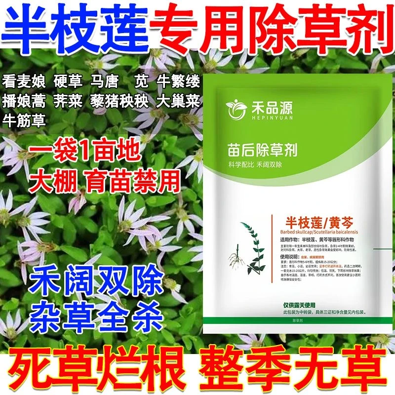 爱丰收黄芩田苗后除草剂半枝莲除草剂黄芩专用除草剂杂草双除