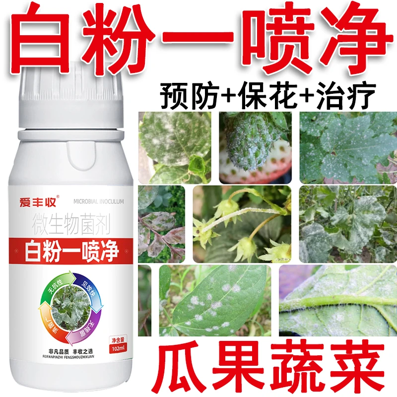 爱丰收瓜果蔬菜白粉一喷净微生物菌剂白粉净白粉一喷无叶子
