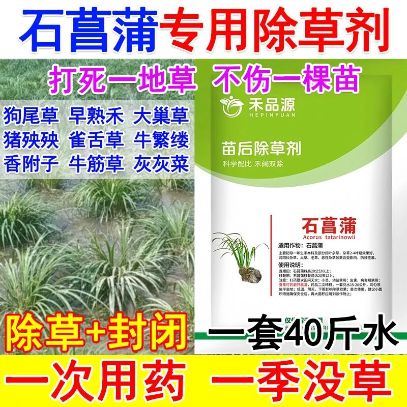 爱丰收石菖蒲田苗后除草剂石菖蒲除草剂禾阔双除专用除草剂农药