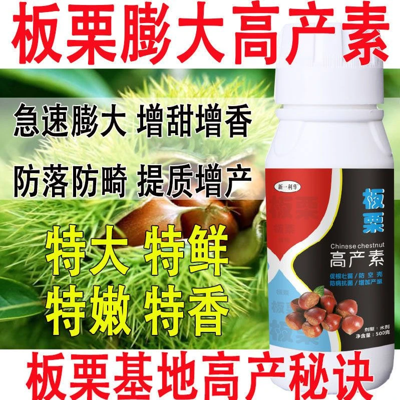 板栗专用叶面肥板栗膨果素膨大素肥料增产叶面肥板栗树专用肥料