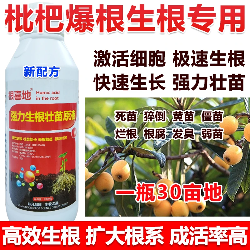 枇杷生根剂植物生根液快速生根粉强力生根剂生根壮苗枇杷原液农肥