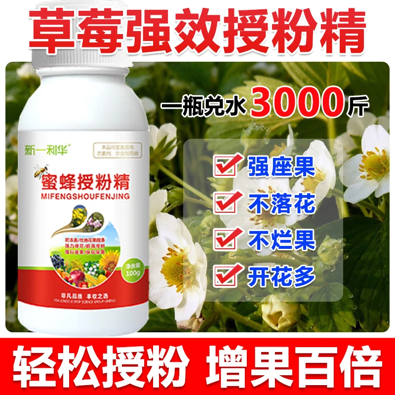 草莓增雌花授粉座果精座果灵坐果灵草莓授粉精华液防落素保花