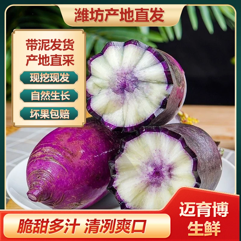 山东冰淇淋冰糖心水果萝卜脆甜生吃不辣口感脆爽产地直发5斤