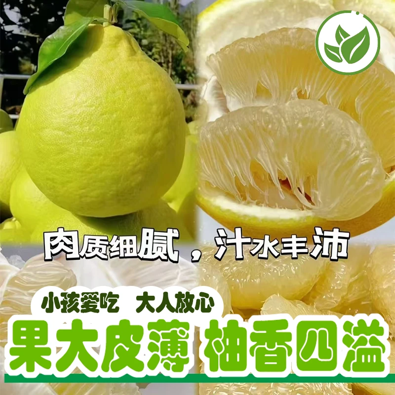 【柚子飘香】中大果正宗梅州桃尧纯甜沙田柚金柚子新鲜水果