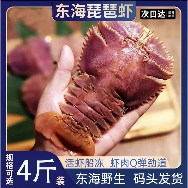 舟山琵琶虾新鲜九齿扇虾海鲜虾姑特大濑尿虾生鲜水产鲜活冷冻爬虾