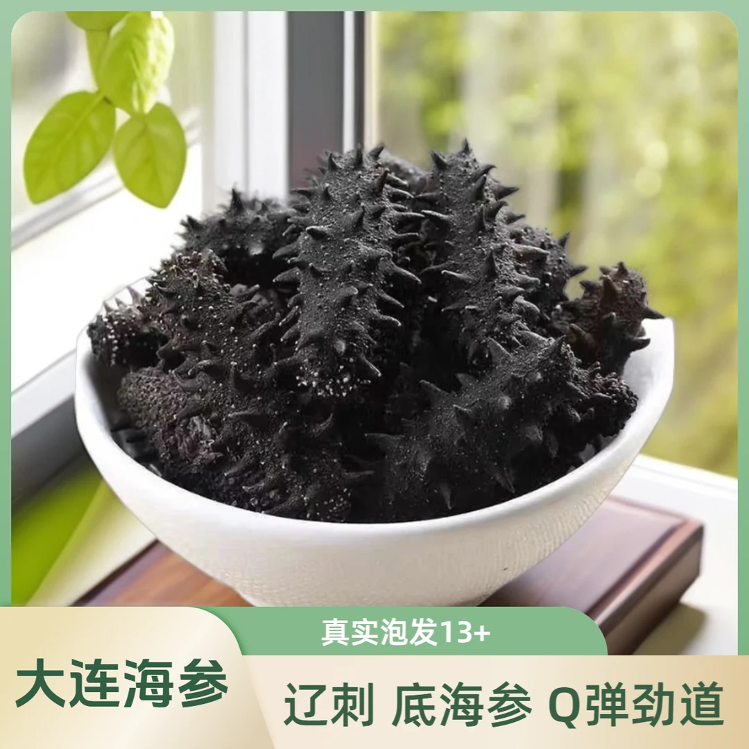 【国特 开水速发 全开口】纯淡100-130头/斤辽刺底播海参500g