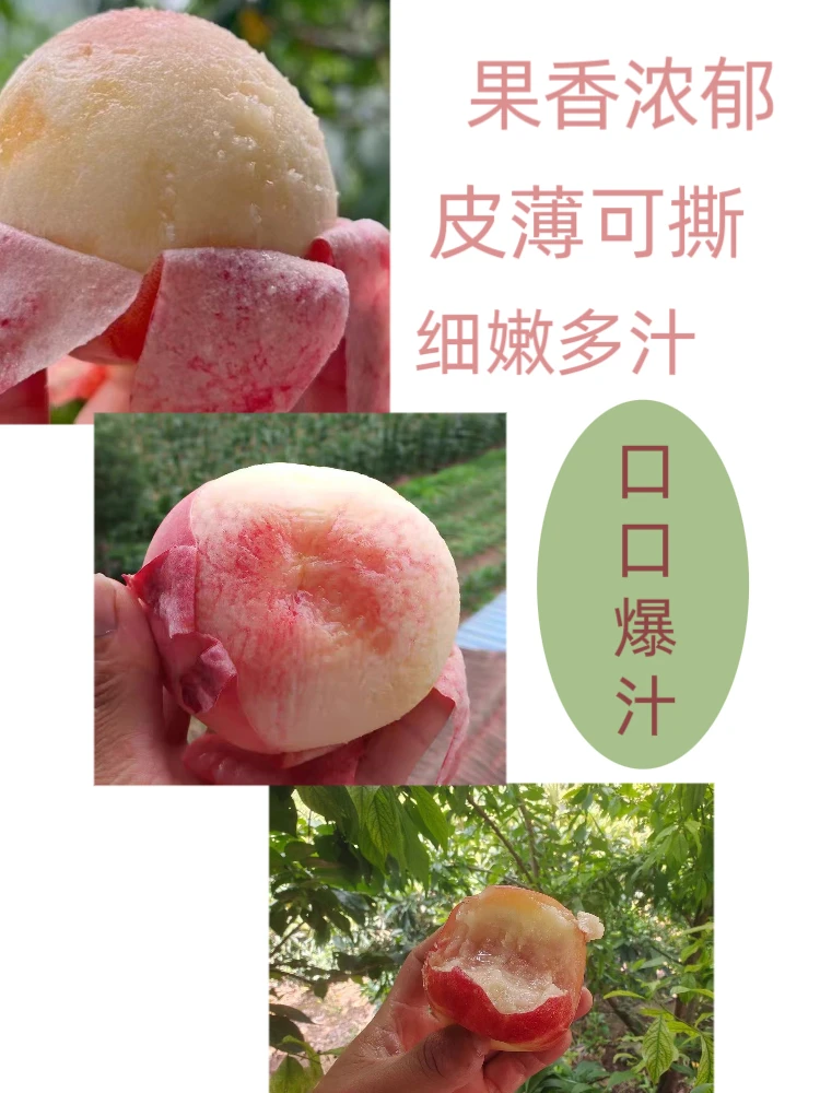 顺丰空运] 龙泉驿 小白凤 软糯 爆汁暴甜 个头小