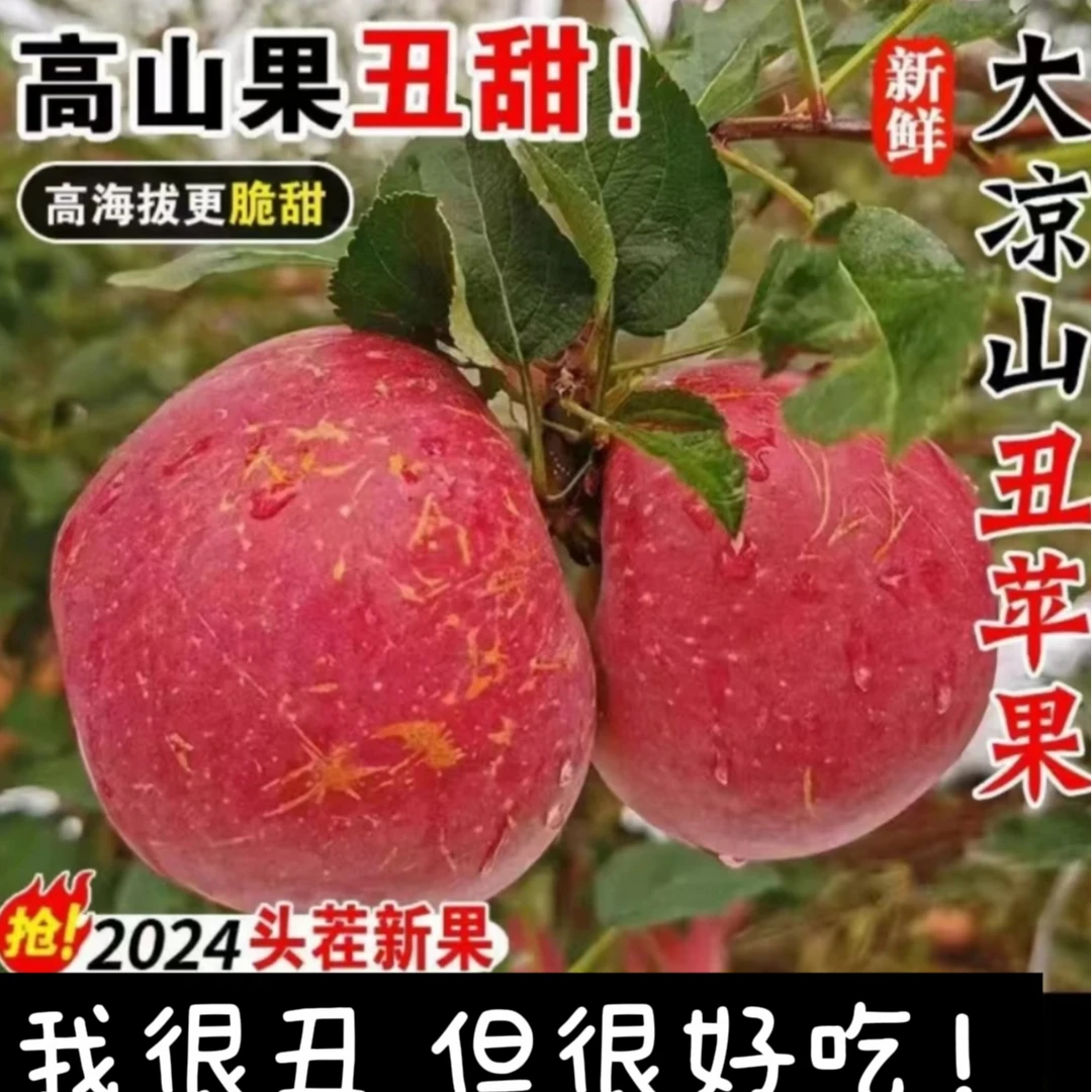 （新鲜水果）大凉山糖心丑苹果盐源新鲜水果越丑越甜高原生态