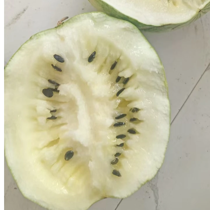 甘肃靖远石头打瓜新鲜籽瓜大变小白黄壤的好吃的很产地直发西瓜