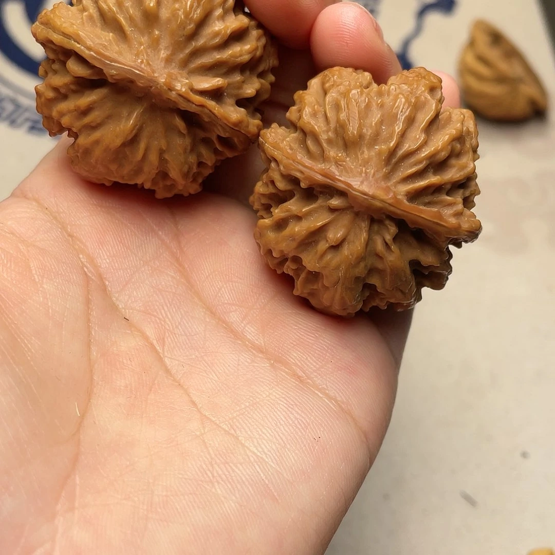 桃核吊坠秦岭野生核桃