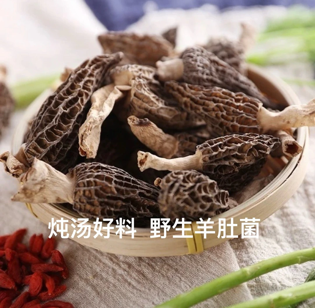 【野生羊肚菌】甘肃特产野外采摘 甘肃发货