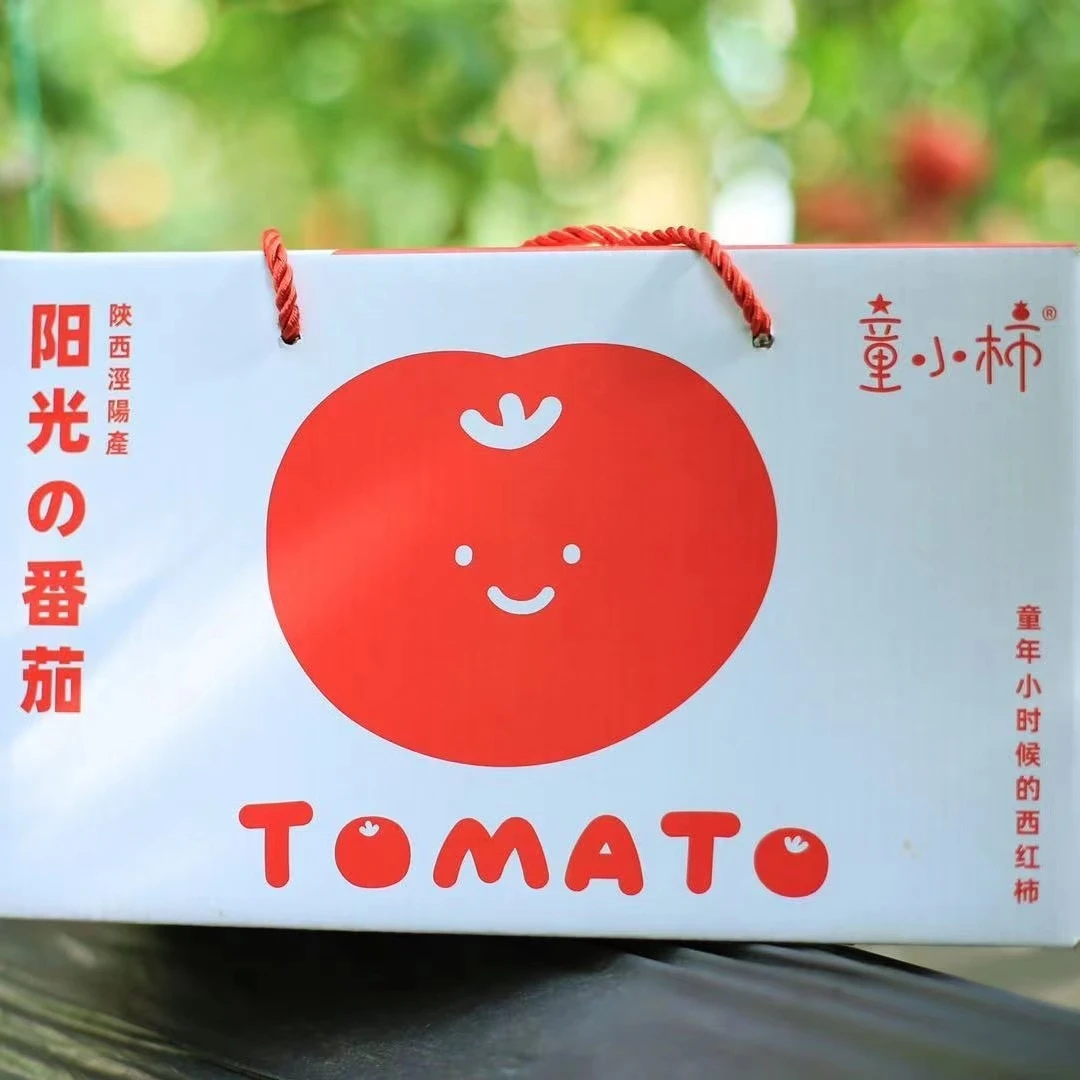 童小柿阳光番茄普罗旺斯西红柿沙瓤多汁红当季新鲜5斤高档礼盒装