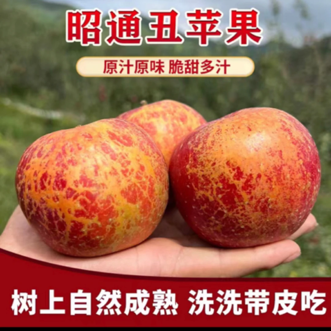 【大壮推荐】云南昭通丑苹果冰糖心苹果新鲜脆甜5斤10斤整箱包邮