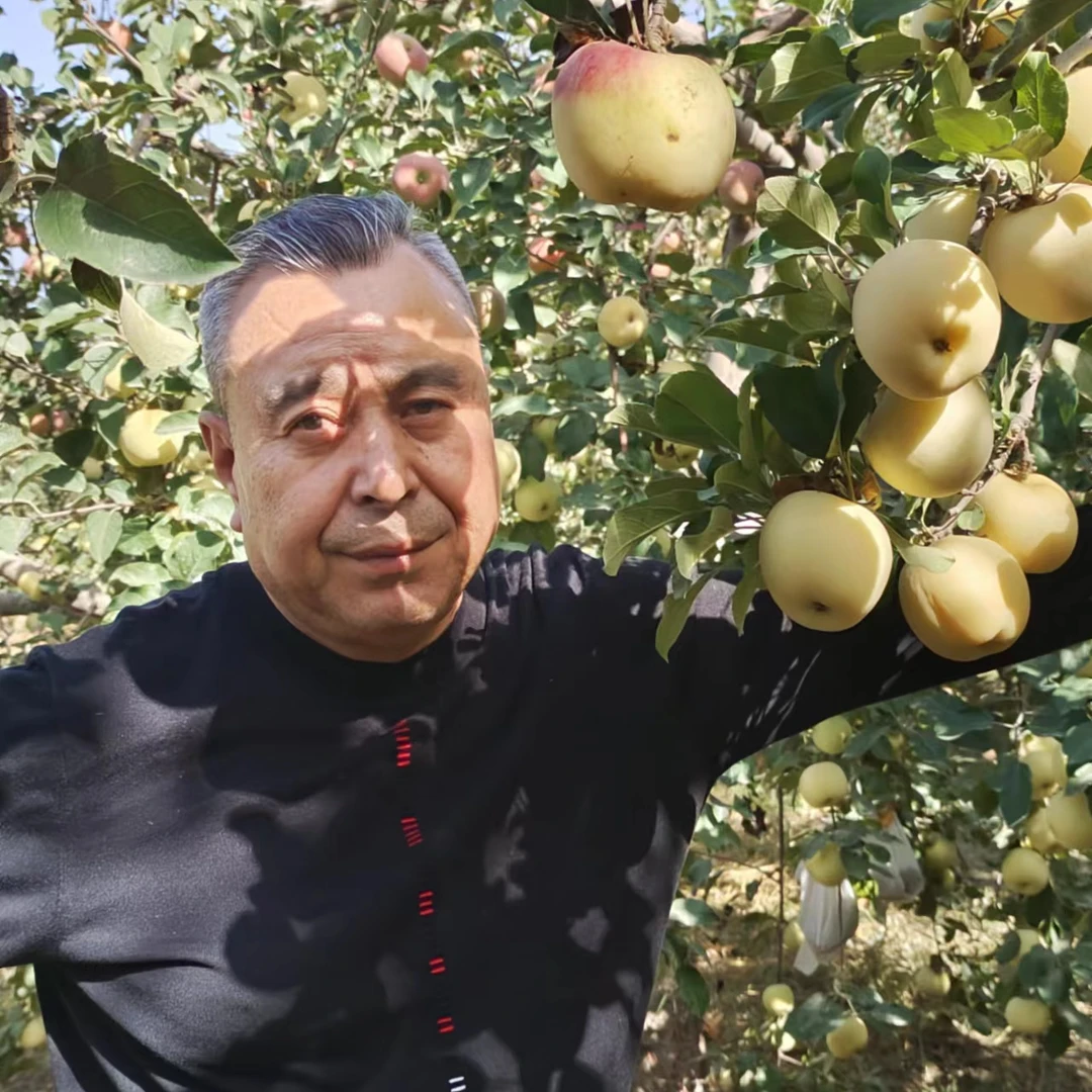 阿克苏红宝石果业轻微冰雹果5-5.5㎏