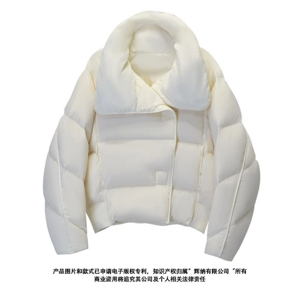 2024冬季90白鹅绒服女装上衣休闲百搭时尚外套加厚(HN8012)
