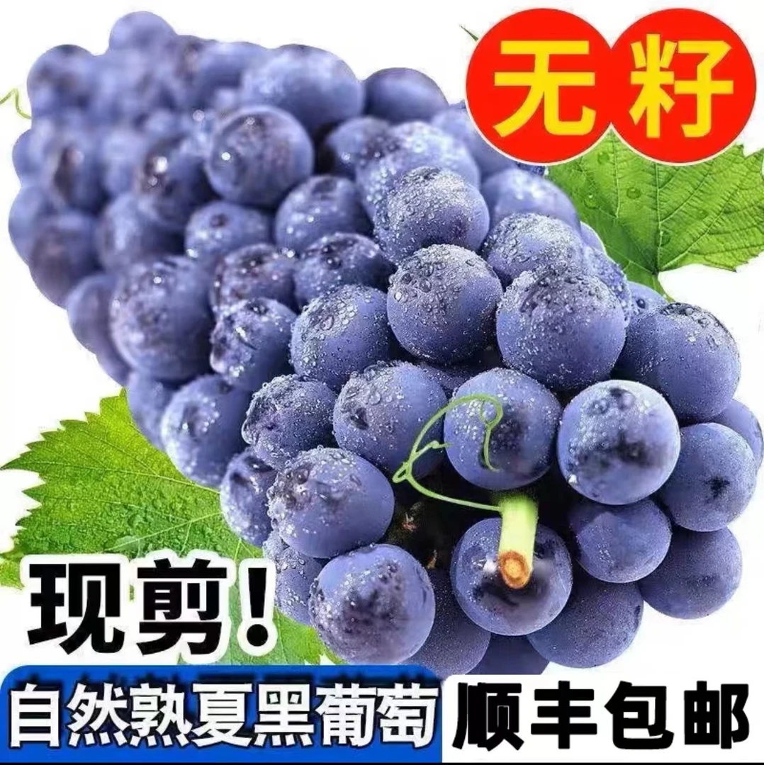 【顺丰发货】夏黑葡萄无籽酸甜可口新鲜饱满果园葡萄孕妇中果大果