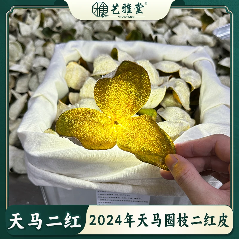 【圈枝二红皮】2024年新会天马圈枝二红皮13年树陈皮一线核心产区