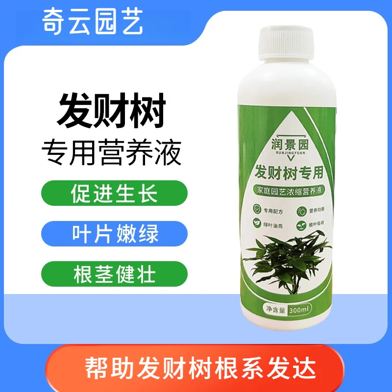 【正版】【发财树专用】家庭园艺发财树专用营养液水培生长土壤烂根13