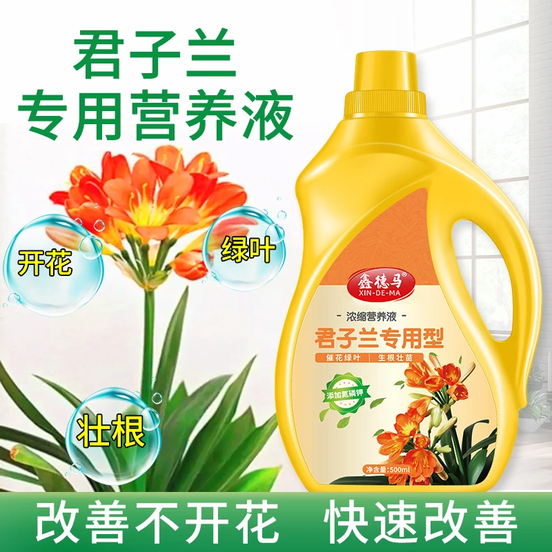君子兰营养液花肥专用肥家用盆栽兰花促箭防黄叶烂根催花开花肥料