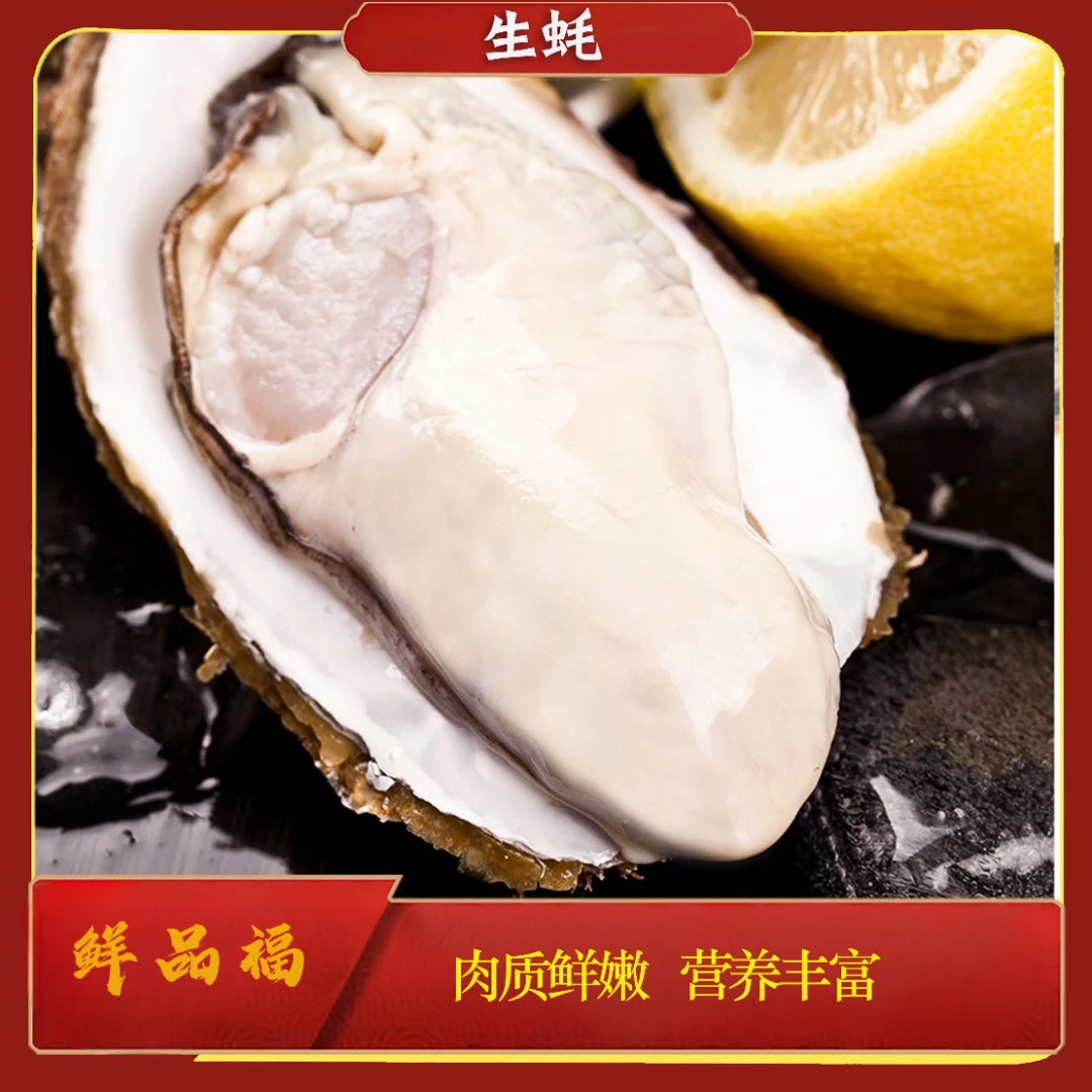 乳山精品2.5+大生蚝（2.5-3两/个）20个5.5斤以上 全国顺丰包邮