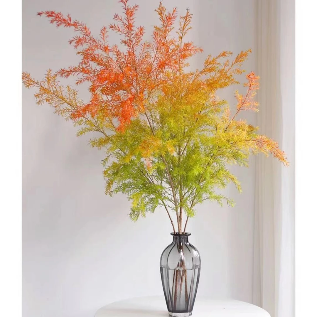 【植予花田】A级高品质鲜花金黄色精品美观 家养千层金鲜切花