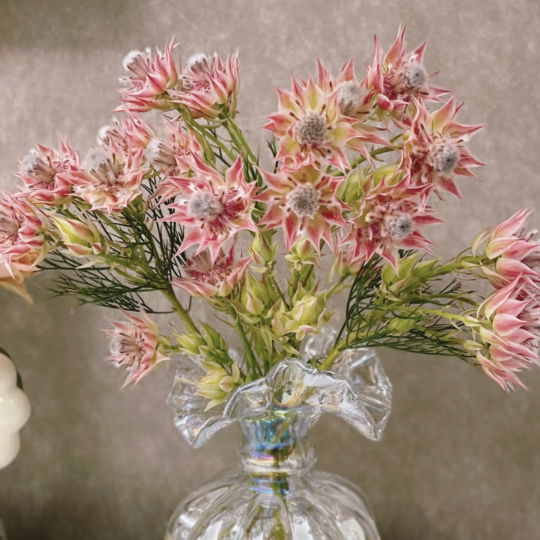 【植予花田】A级高品质鲜花-新娘花