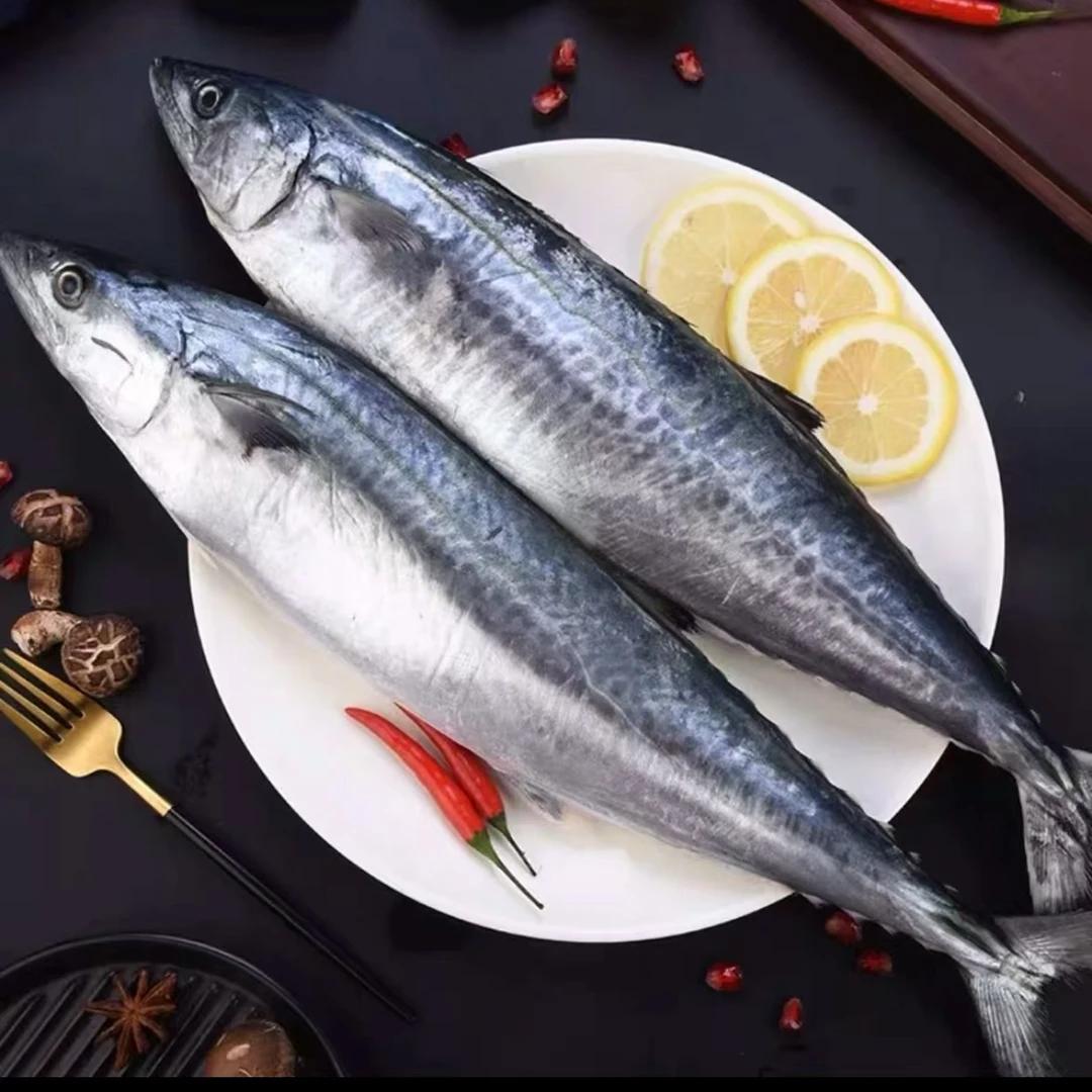 大连船冻野生燕鲅鱼马鲛鱼4斤装（拍4斤发4.5斤）大号 顺丰包邮