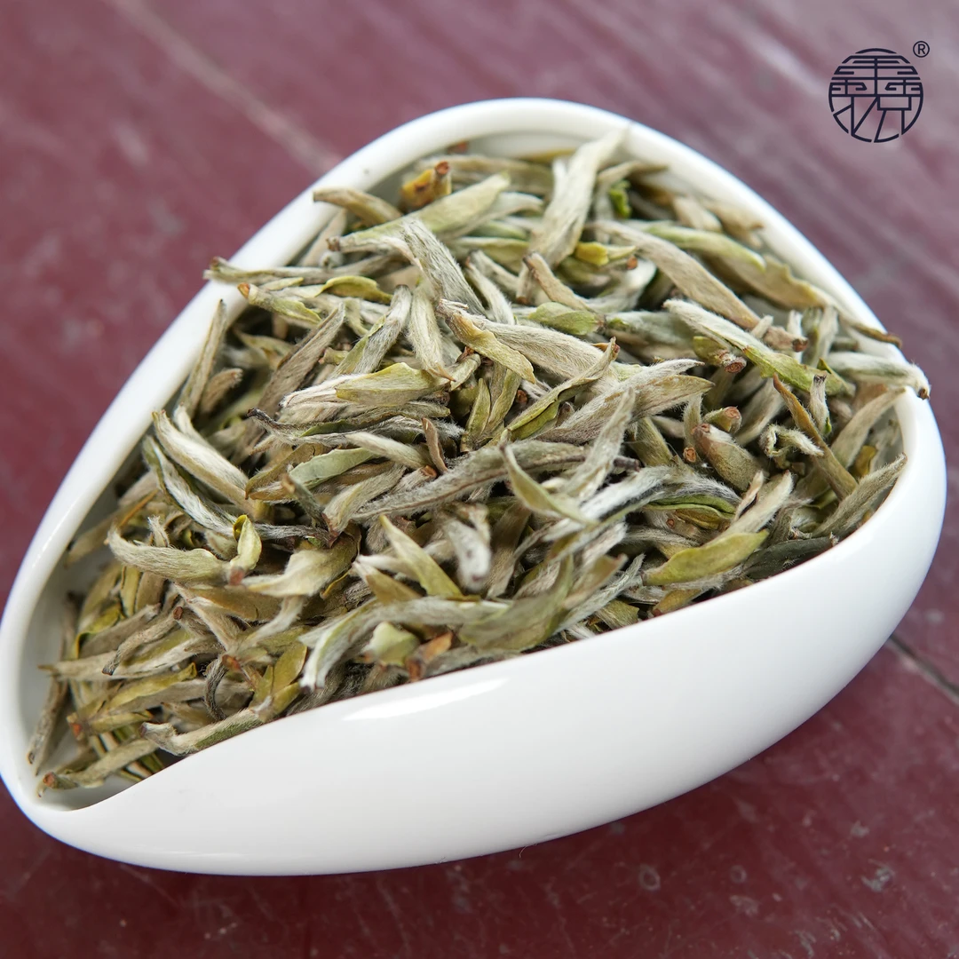 【鑫说】福鼎白茶---鑫哥顶力推荐 正山脉 2023年荒野白毫银针
