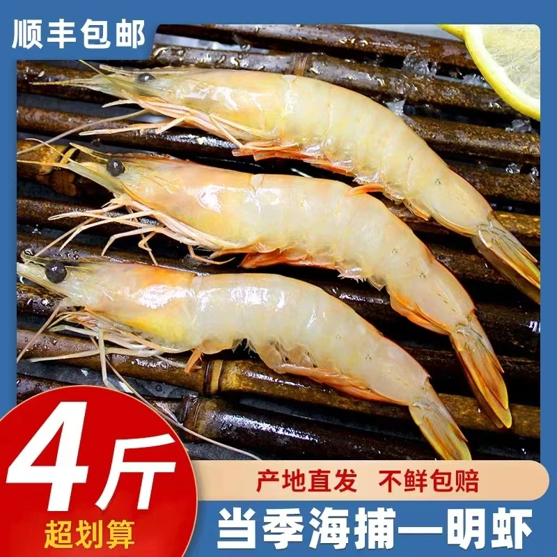【拍3斤发4斤】野生海捕大对虾明虾一斤15只左右 活虾速冻锁鲜