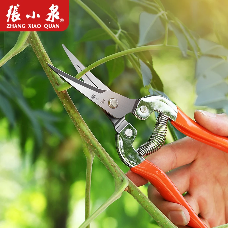 张小泉树剪花剪园艺剪刀省力家用果树修枝剪摘果葡萄剪盆景剪神器