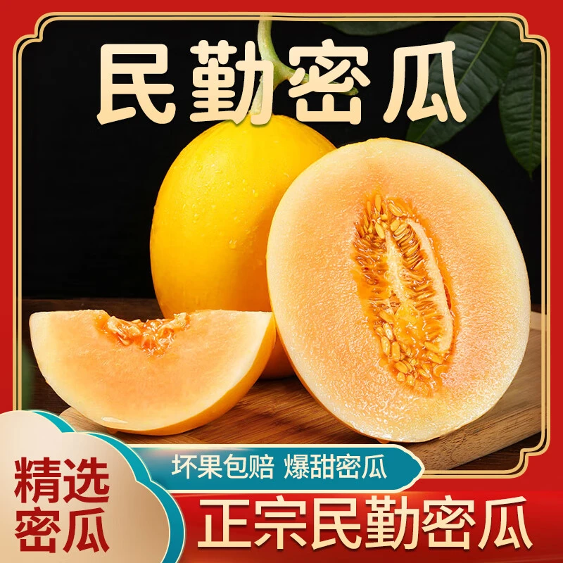 W【爆甜】民勤沙漠蜜瓜8-10斤头茬应季新鲜水果现摘香甜美味水果香