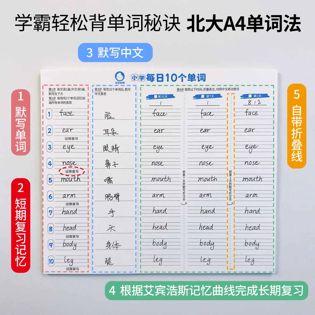 记忆吐司【小学每日10词】英语背单词速记本子记忆法默写高效记忆