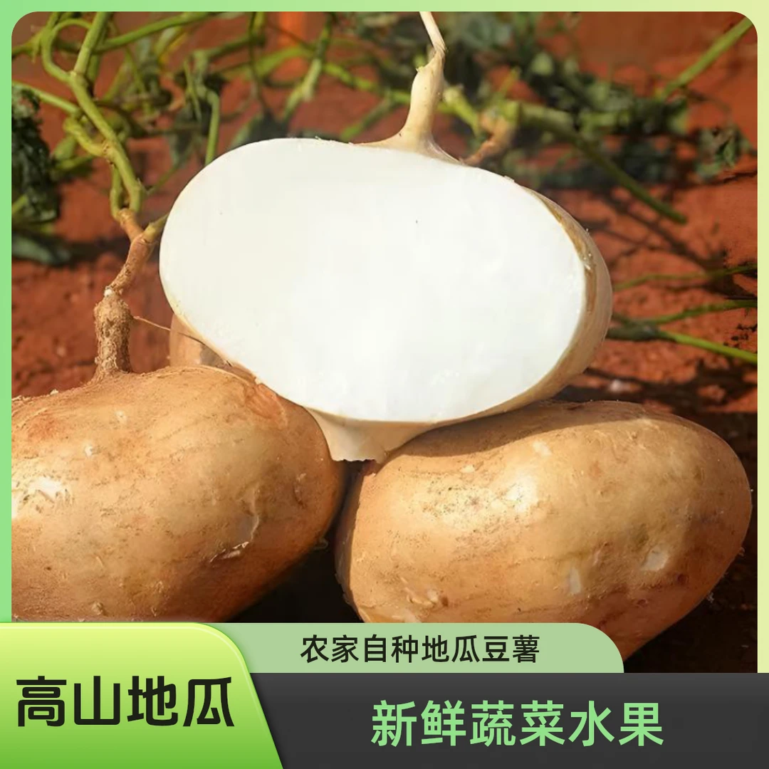 贵州高山凉薯现挖新鲜蔬菜水果农家自种地瓜豆薯番薯1/3/5斤包邮