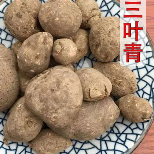 正宗三叶青干货浙江野生三叶青金线吊250g-500g包邮三叶青非葛根
