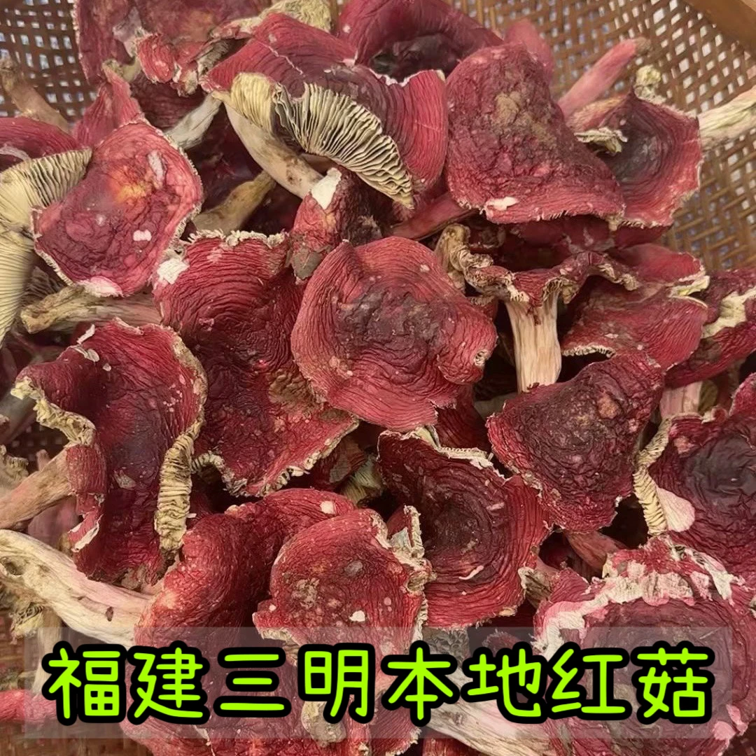 福建三明永安本地红菇