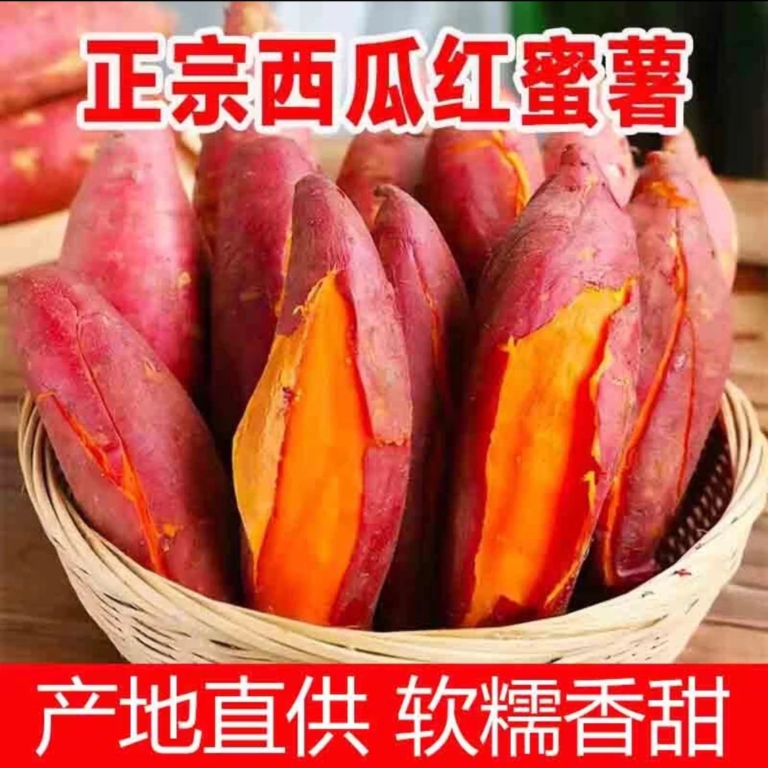 店埠臻选好品【西瓜红蜜薯】糖心烤红薯当年番薯软糯香甜5斤整箱
