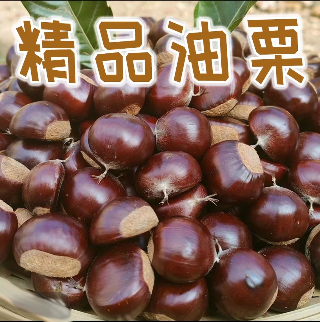 4斤高山精品油栗子皮薄香糯优质坚果初级农产品