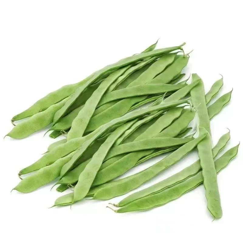 绿龙架豆种子宽扁豆角种籽大田基地架豆角籽高产蔬菜种孑新疆包邮