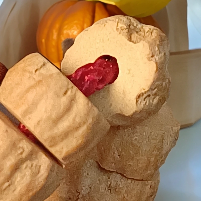 J726 北屹 朝奉文玩百香甄选 规整药片百香籽串